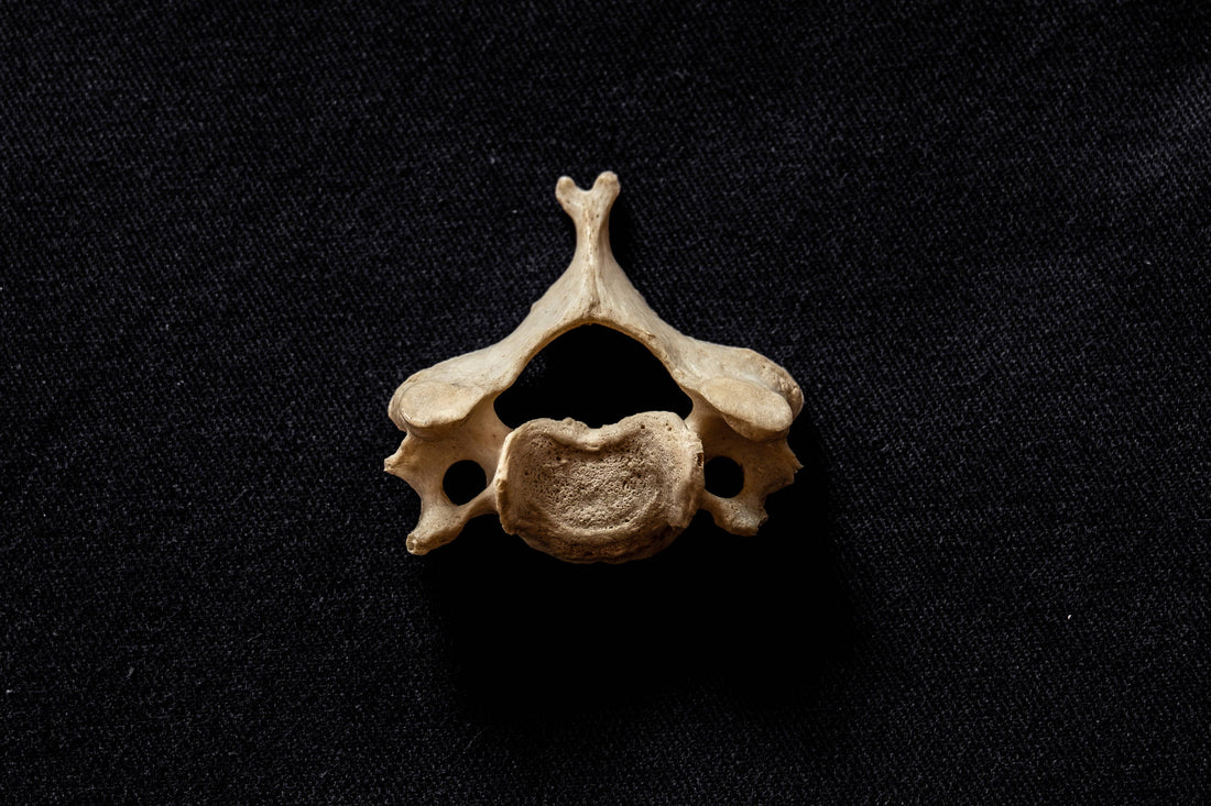 Cervical Screenings